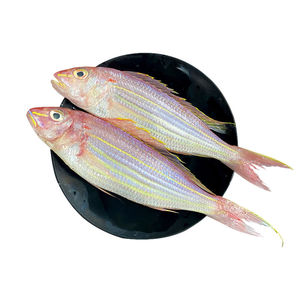 【新鲜红杉鱼条】新鲜红杉鱼条品牌,价格 - 阿里巴巴