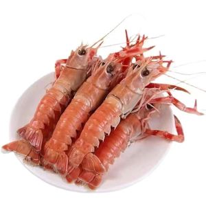 【4斤装】海鳌虾刺身国产海鲜冷冻新鲜深海大海虾水产12只左右/斤