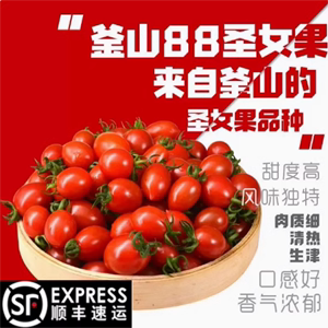 【特惠】釜山88寿光圣女果玲珑小番茄超甜樱桃千禧果小柿子好吃W