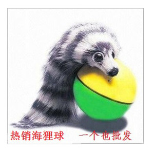 海狸鼠电动玩具 海狸球 水老鼠玩具 会游泳顶球 海豚电动戏球可批
