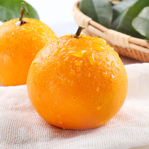 正宗象山柑橘红美人 5斤蜜桔子日本爱媛28号果冻橙子