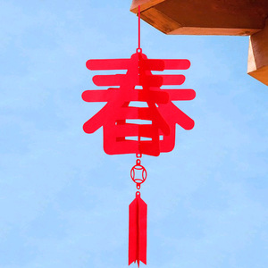 新新春节灯笼挂饰 高档创意年装饰用品 春字过年阳台灯笼立体挂件