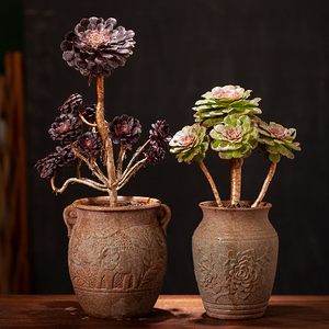 特价大号法师花盆仿古多肉花盆粗陶瓷肉肉绿植物创意盆景高20cm