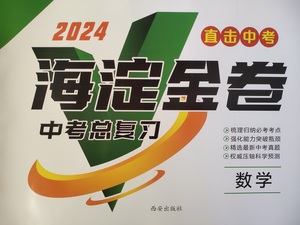 2024直击中考海淀金卷中考总复习数学