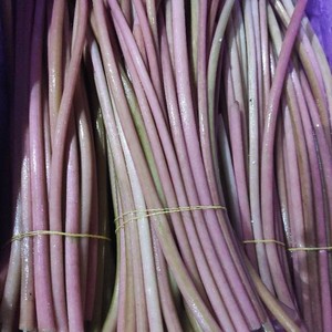 江西特产 新鲜鸡头梗芡实梗新鲜蔬菜鸡头米刺梗欠实梗三斤装包邮