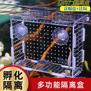 孔雀鱼繁殖盒幼鱼鱼缸隔离盒斗鱼小鱼苗产卵器热带鱼亚克力孵化盒