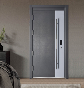 大门防盗门非标