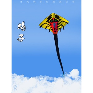 蝎子风筝潍坊大型巨型高档成人微风易飞长尾2020新款特大好飞