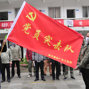 党员突击队队旗 青年突击队旗 防控监管队旗党支部旗帜定做志愿者旗帜