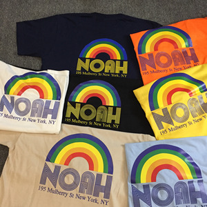 正确版本noah rainbow彩虹男女情侣款纯棉圆领宽松ins同款t恤短袖