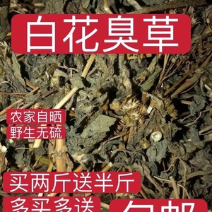 野生白花臭草 干品500g包邮农家自晒胜红蓟臭垆草 毛胜红中草药材
