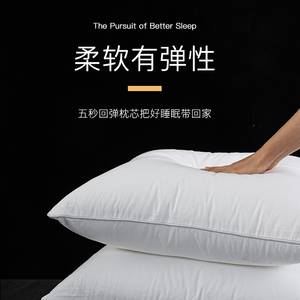 柏洛斯高端酒店卧室枕头枕芯单人羽丝绒芯一对沙发靠垫抱枕芯定制