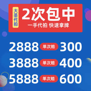 大圣代拍 上海沪牌代拍 车牌拍牌私牌 个人上牌拍牌照竞拍公司