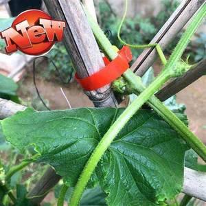 加长加厚葡萄绑枝机专用胶带钉子绑带绑绳西红柿番茄绑蔓机n器