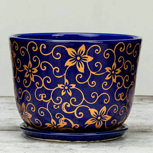 花盆陶瓷特大号芦荟矮盆栽多肉小盆兰花盆青花瓷蓝色盆吊兰盆瓷盆