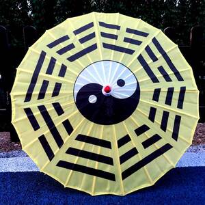 451人付款淘宝二十八星宿伞道教文创 二十八星宿晴雨两用直伞太极伞