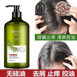 异株荨麻洗发水植物无哇油异珠除螨杀菌洗头荨麻草寻麻控油荆问津