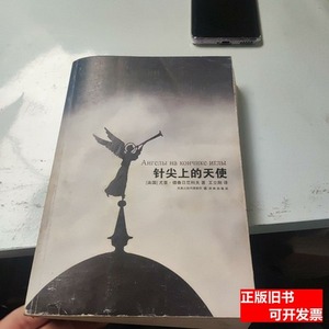 针尖上的天使 [美]德鲁日尼科夫着王立刚译 2010译林出版社978754