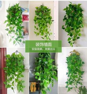 垂吊家里墙挂装饰花假花植物掉挂件吊蓝挂饰仿真吊兰篮教室洗手间