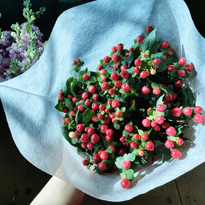 红豆花束鲜花包邮