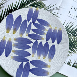 荷花原材料梧桐壳泡桐壳彩色手工拈花干花包t_1504877873911_09252