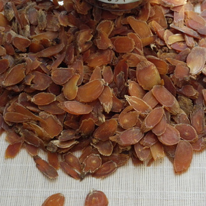 中药材吉林长白山红参片500g片红参2斤包邮所红参茶红参切片