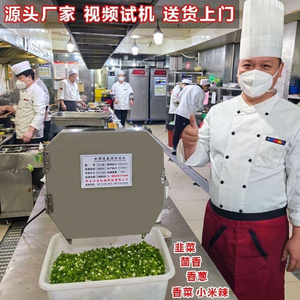 多功能商用切菜机自动切韭菜葱花辣椒蒜苗切酸菜丝小型切片切段机