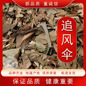 贵州野生中草药追风伞 中药材新鲜一把伞追风散惊风伞破凉伞500克