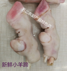 新鲜山羊短蹄  现杀生羊脚 带筋羊蹄  膻味轻老少皆宜满 10斤包邮