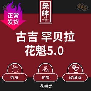 埃塞俄比亚花魁5.0日晒g1单品精品手冲咖啡豆 黑咖啡豆粉新鲜烘焙