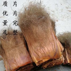 棕榈树皮棕榈叶棕树皮天然皮棕屋顶装饰品棕皮绿萝棒棕片棕丝棕绳