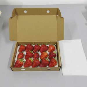 草莓盒子一次性草莓礼盒分格托盘防震抗压草莓包装盒快递专用纸箱
