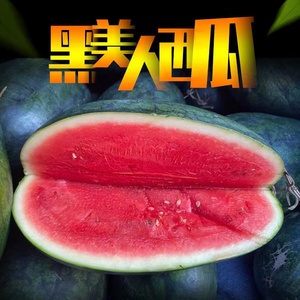 广西黑美人西瓜
