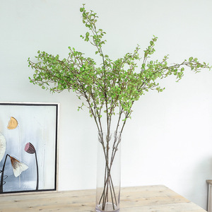 【单竹心】单竹心品牌,价格 - 阿里巴巴