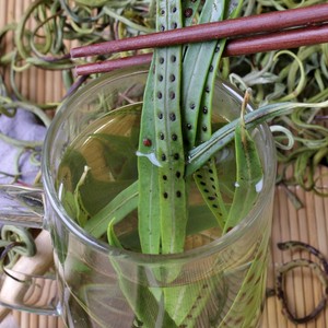 长白山肾精茶野生 石韦茶 肾精草 养生茶50g东北特产