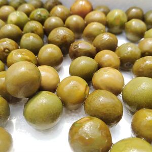 买3送1同款 霍特鸡头果二青特级霍邱特产带壳新鲜芡实新鲜鸡头米