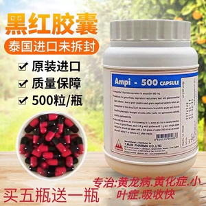 黄龙病红黑胶囊42黄化症打针专用药脐橙泰国进口盐酸四环素输液管