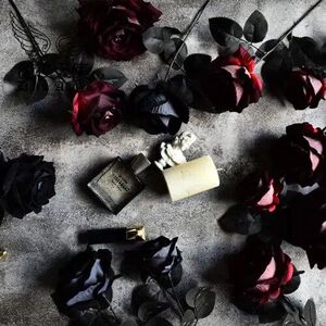 【玫瑰花道具黑】玫瑰花道具黑品牌,价格 - 阿里巴巴