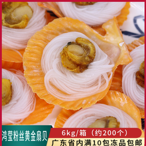 鸿莹海粉丝黄金贝商用新鲜冷冻蒜蓉粉丝扇贝海鲜贝类户外烧烤食材