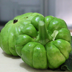 新鲜蔬菜姜柄瓜姜饼瓜云南土特产农家小南瓜当季现摘现发5斤包邮