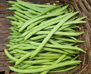 四季豆农家新鲜蔬菜果现摘无筋豆角芸豆刀豆应季云南特产3斤包邮