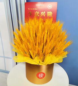 仿真大麦穗