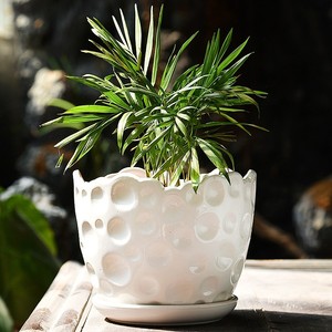 室内白色种花水培专用小号绿萝个性养花大号陶瓷大花盆
