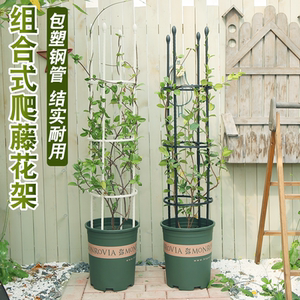 昙花架子支架固定盆植花卉定型架爬藤植物攀爬杆园艺绿植造型架