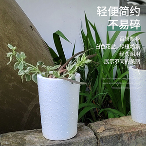 桌面装饰种花泡沫箱 居家阳台栽花盆 纯白色多肉绿植花卉育苗室内
