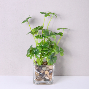 四叶草盆栽桌面