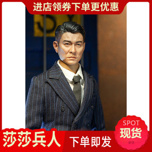 玩具 公仔,玩偶,娃娃 娃娃配饰 刘德华头雕