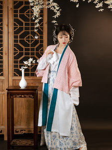 现货半生罗裳人间烟火汉服女宋制貉袖短衫直领长衫2022春夏原创