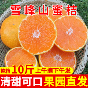 湖南橘子新鲜蜜桔10斤桔子无籽蜜橘当季柑橘孕妇水果皮薄果园直发