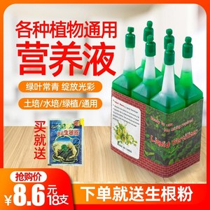 通用型营养液水培植物富贵竹风信子肥料水生水养花卉专用绿萝养花